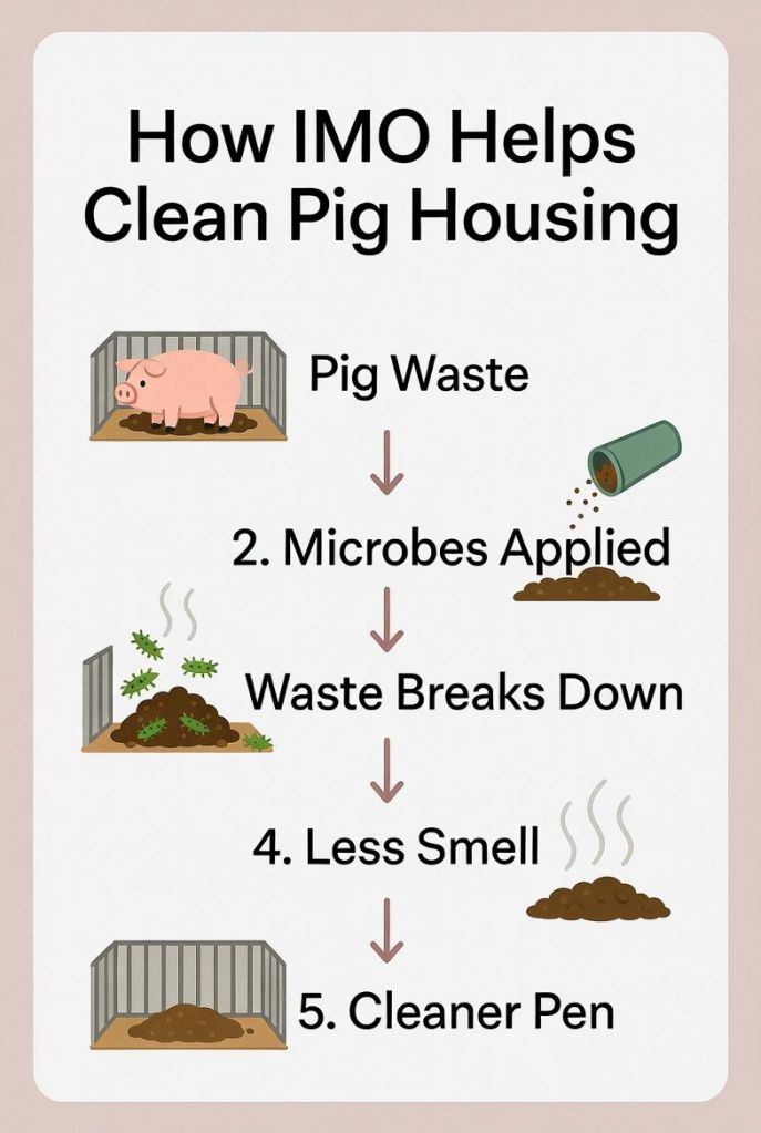 how indigenous microorganisms break down pig waste to reduce smell and improve cleanliness in pig housing