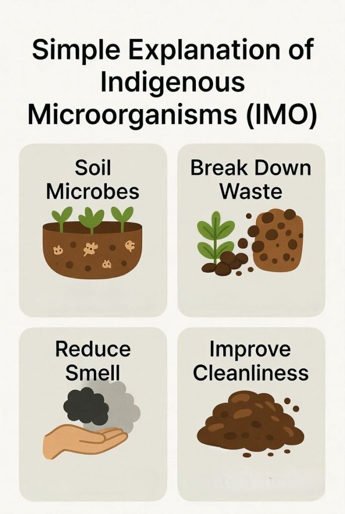 simple explanation of indigenous microorganisms showing soil microbes breaking down waste and reducing smell in pig housing