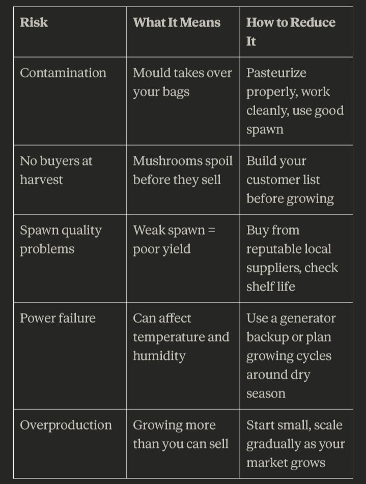 Risks in mushroom farming, what it means and how to reduce it as a beginner in mushroom farming 