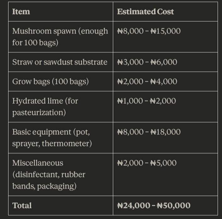 Tabulated format for a sample cost breakdown for a 100-bag beginner setup in Nigeria 