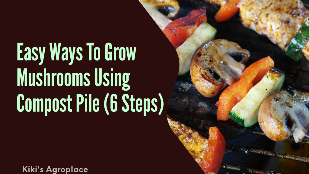 How to grow mushrooms using compost pile (6&nbsp;steps)