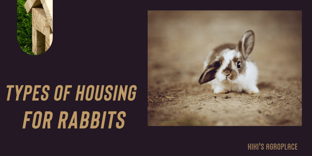 Types of housing for&nbsp;Rabbits
