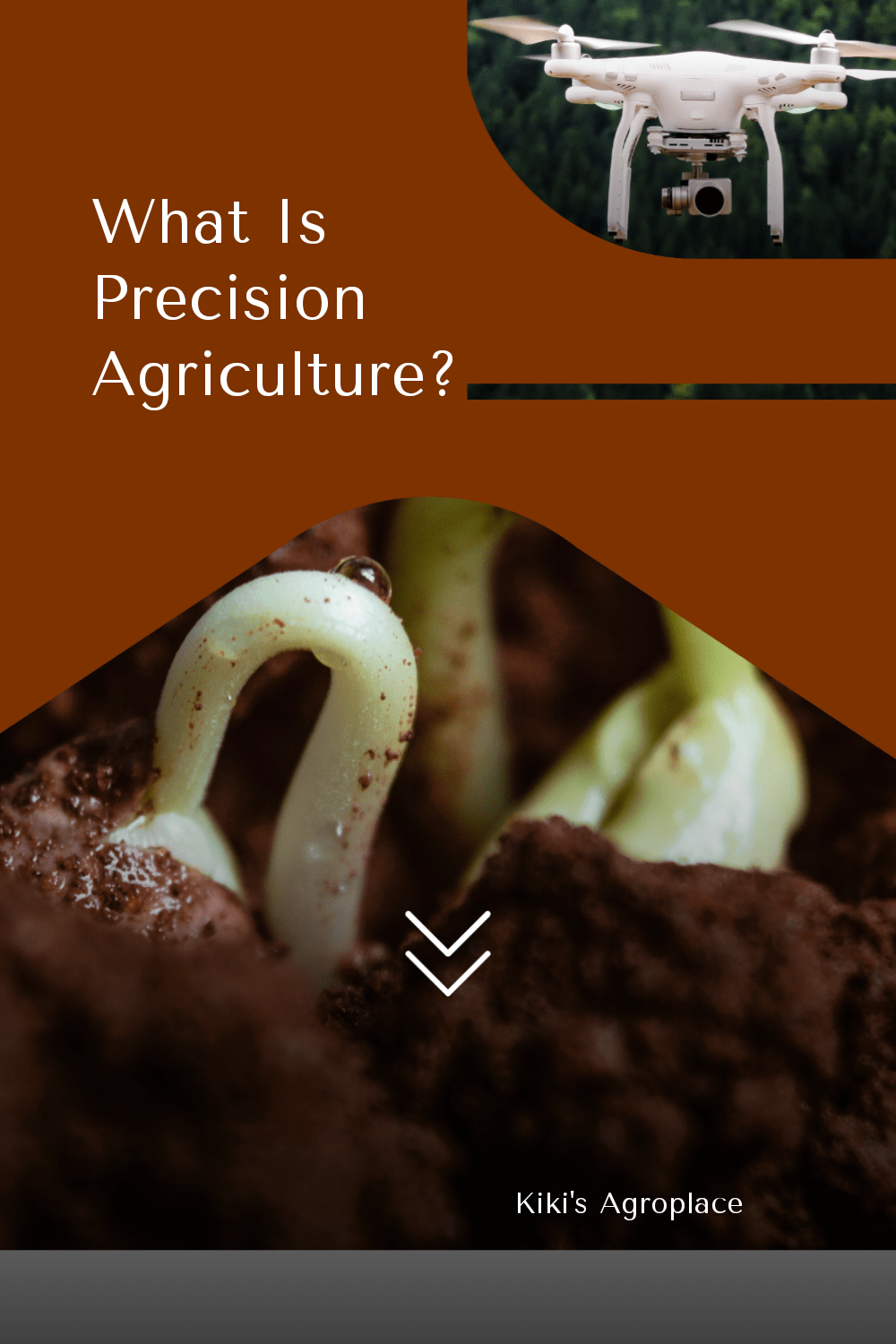 What is Precision&nbsp;Agriculture?