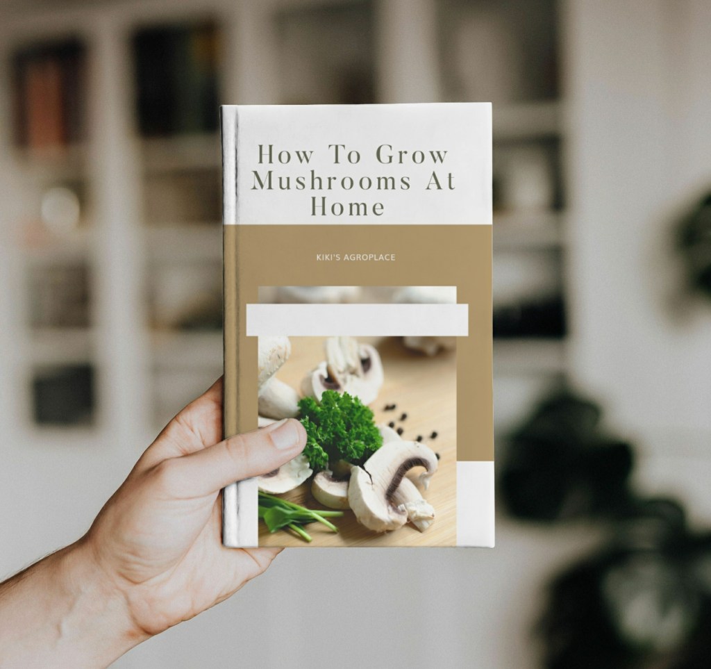 How to grow mushrooms at&nbsp;home