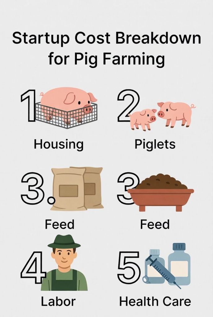 breakdown of pig farming startup cost including housing piglets feed labor and health care expenses