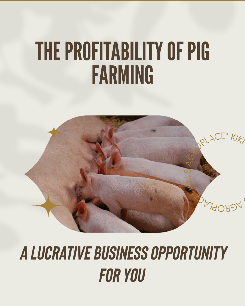 The Profitability of Pig Farming: A Lucrative Business&nbsp;Opportunity