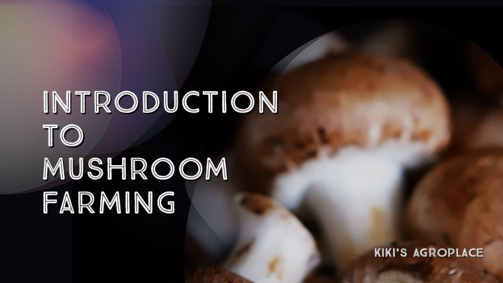 An Introduction to Mushroom Farming: Cultivating Fungi for a Sustainable&nbsp;Future