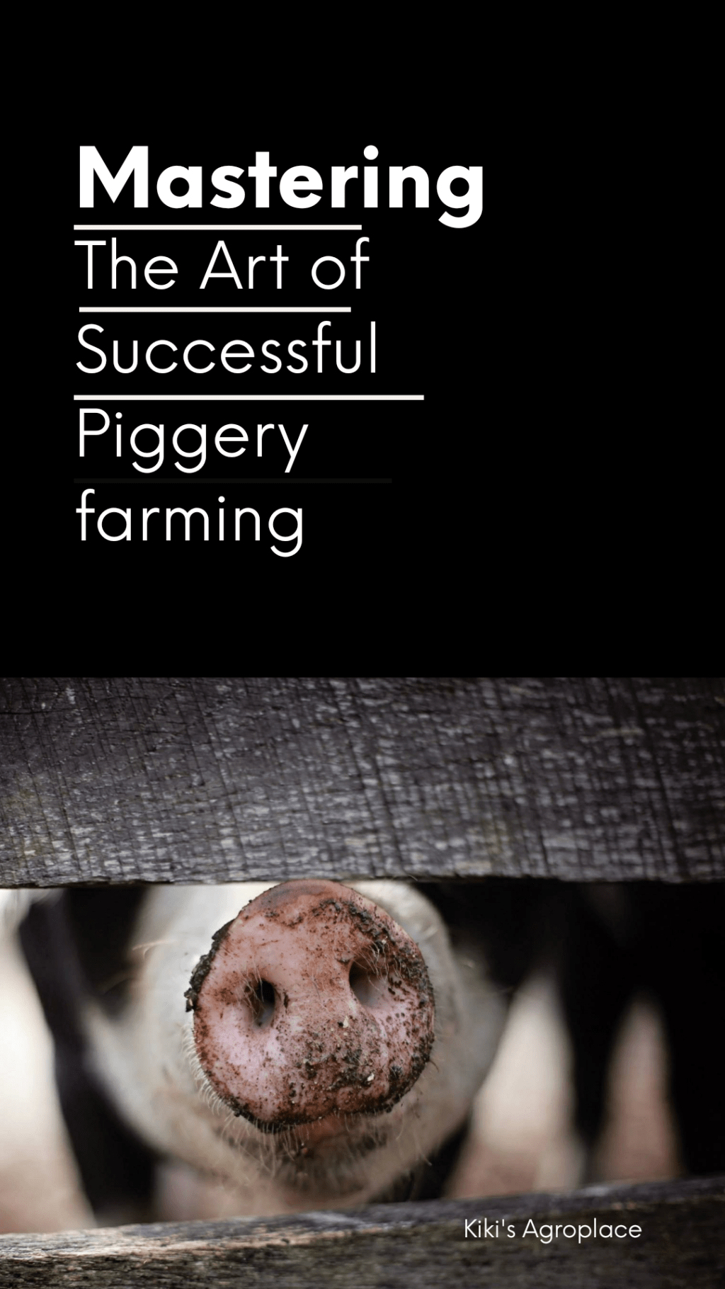 Mastering the Art of Successful Piggery&nbsp;Farming
