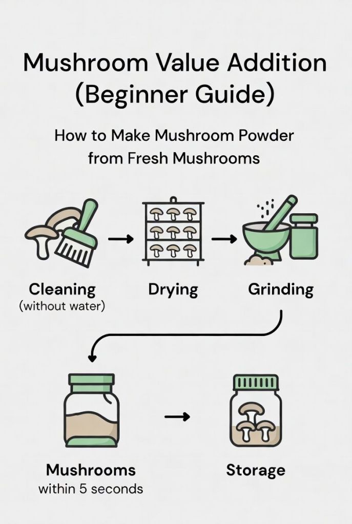 step by step process of making mushroom powder from fresh mushrooms including cleaning drying grinding and storage