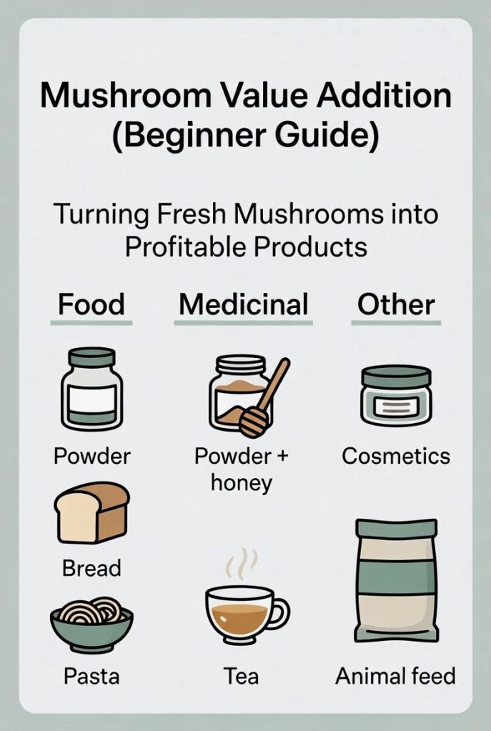 types of value added mushroom products including food medicinal and other mushroom products for business