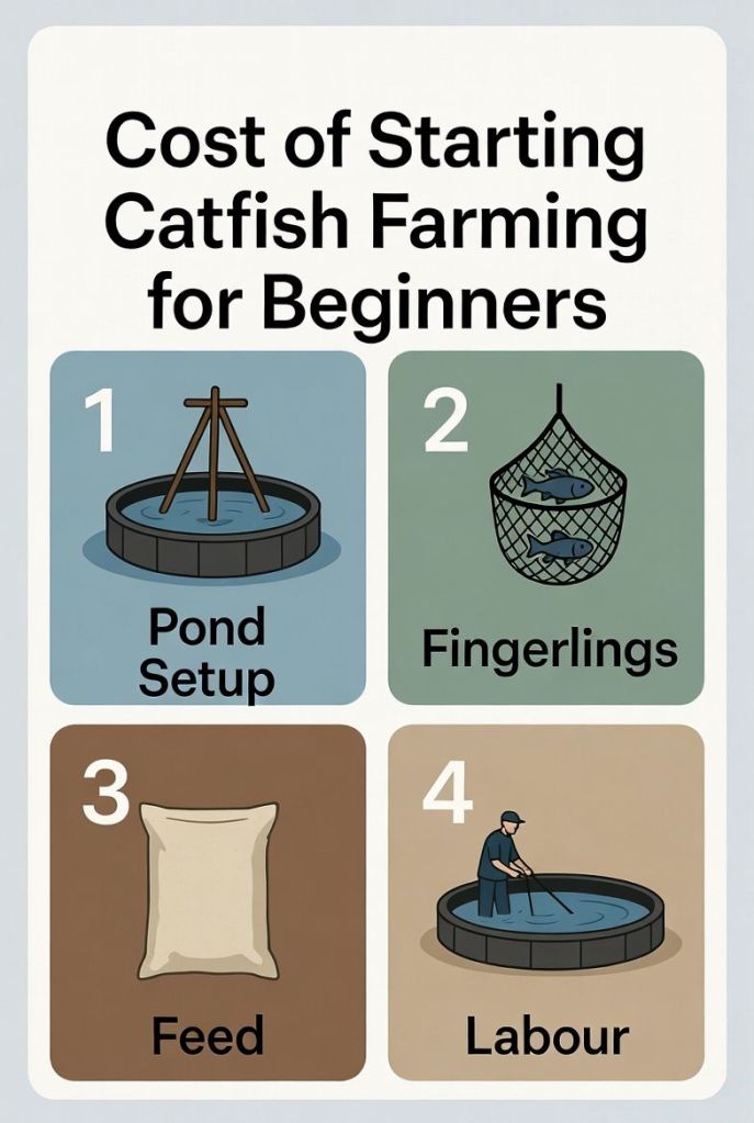 basic cost breakdown of catfish farming including pond setup fingerlings feed and labor