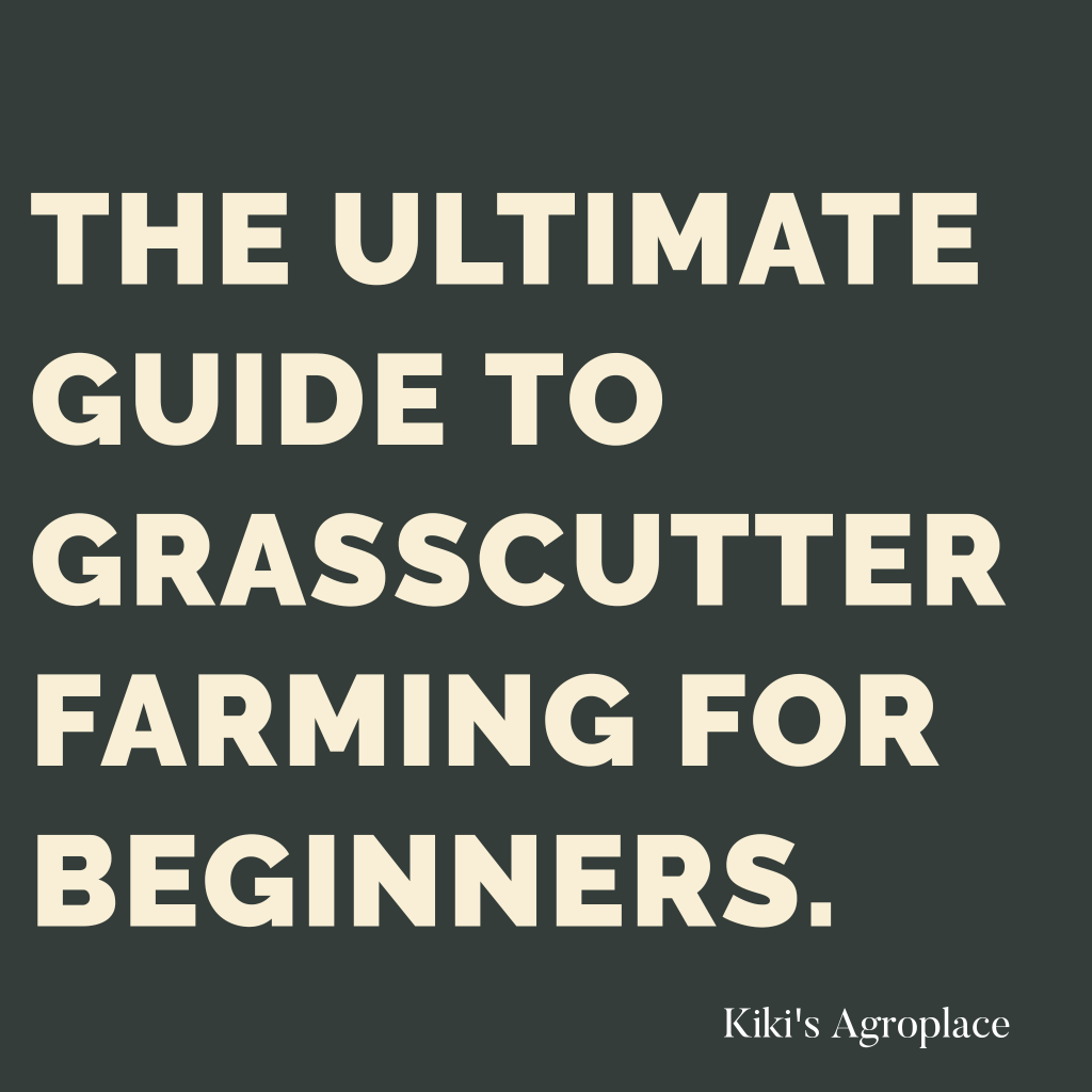 The Ultimate Guide to Grasscutter Farming for&nbsp;Beginners