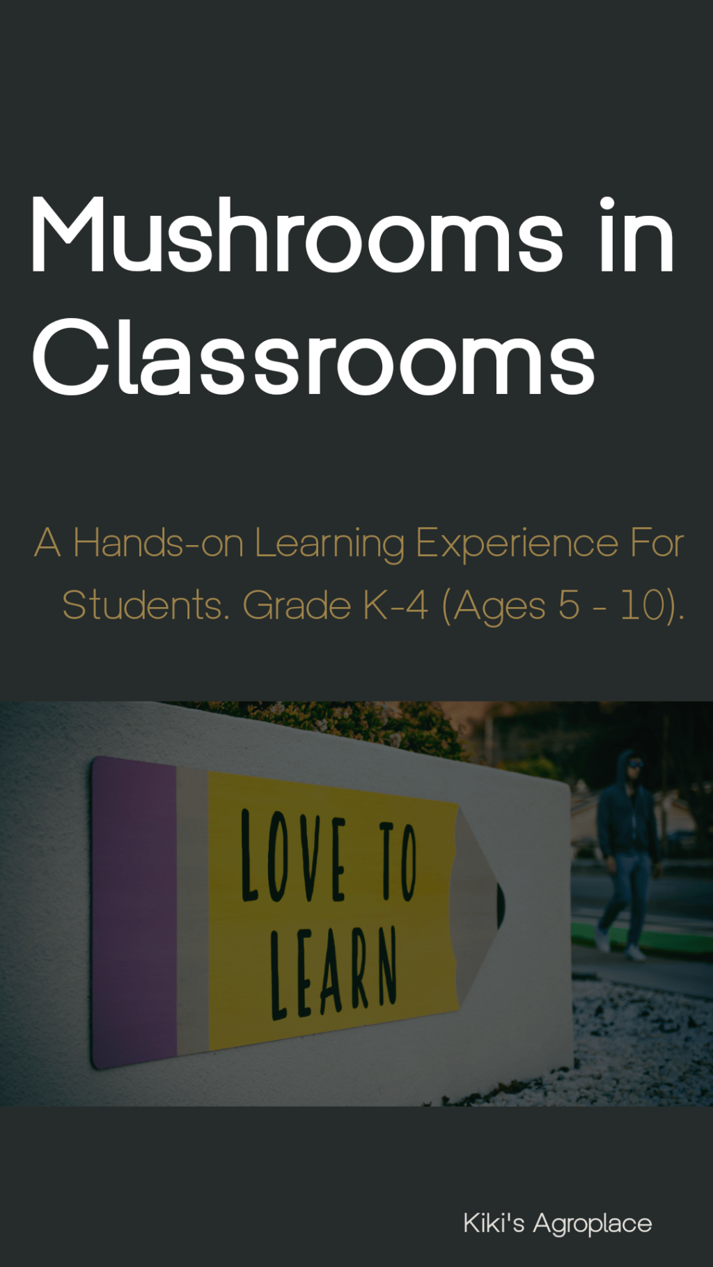 Mushroom Farming in the Classroom: A Hands-On Learning Experience for&nbsp;Students