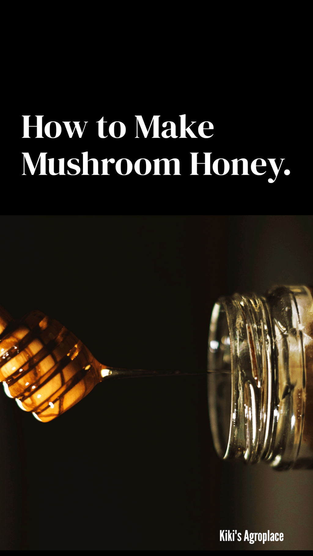 Mushroom Powder Honey (Mushroom Value Added products): A Potent and Delicious Medicinal&nbsp;Remedy
