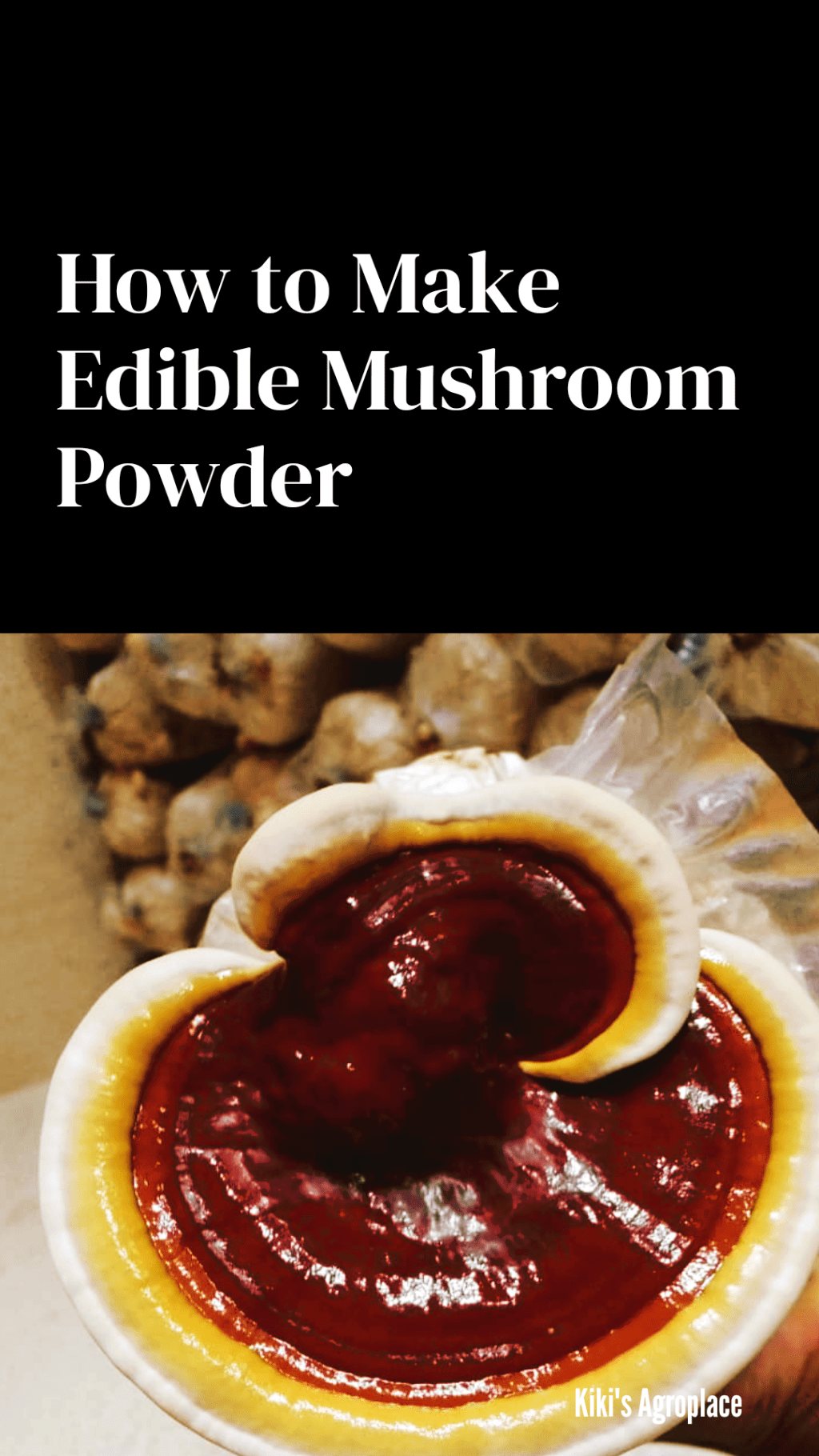 Mushroom Value added products: Mushroom&nbsp;Powder.