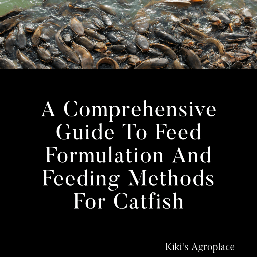 A Comprehensive Guide to Feed Formulation and Feeding Methods for&nbsp;Catfish