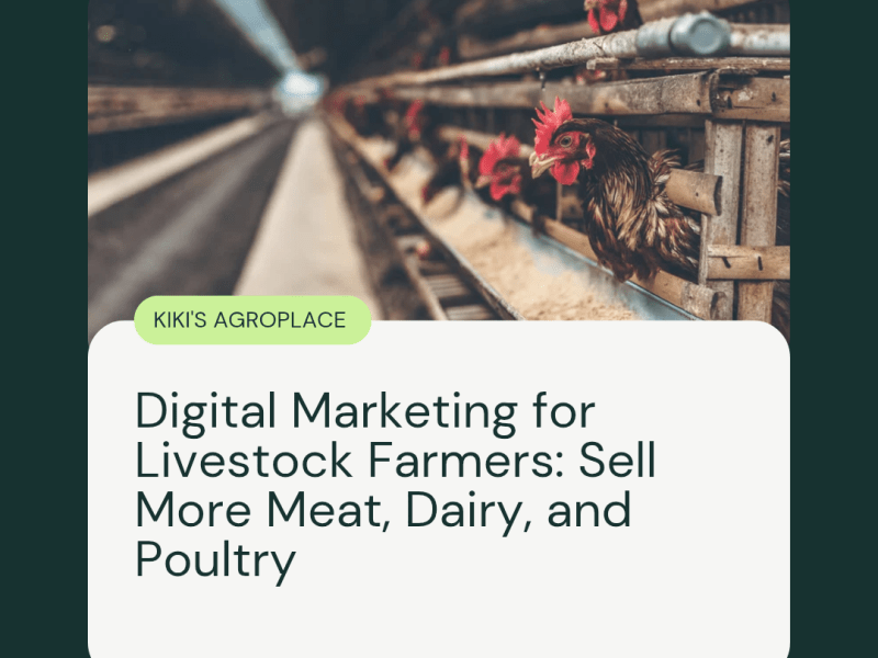 Digital Marketing for Livestock Farmers: Sell More Meat, Snail, Catfish, Dairy, and&nbsp;Poultry