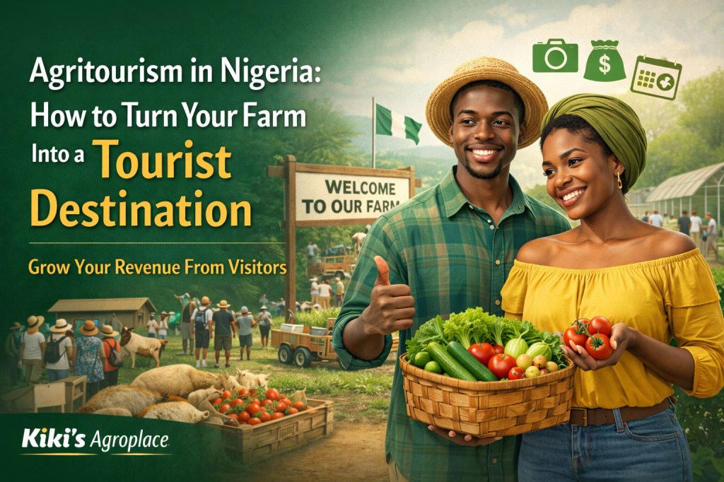 Agritourism in Nigeria: How to Turn Your Farm Into a Tourist&nbsp;Destination