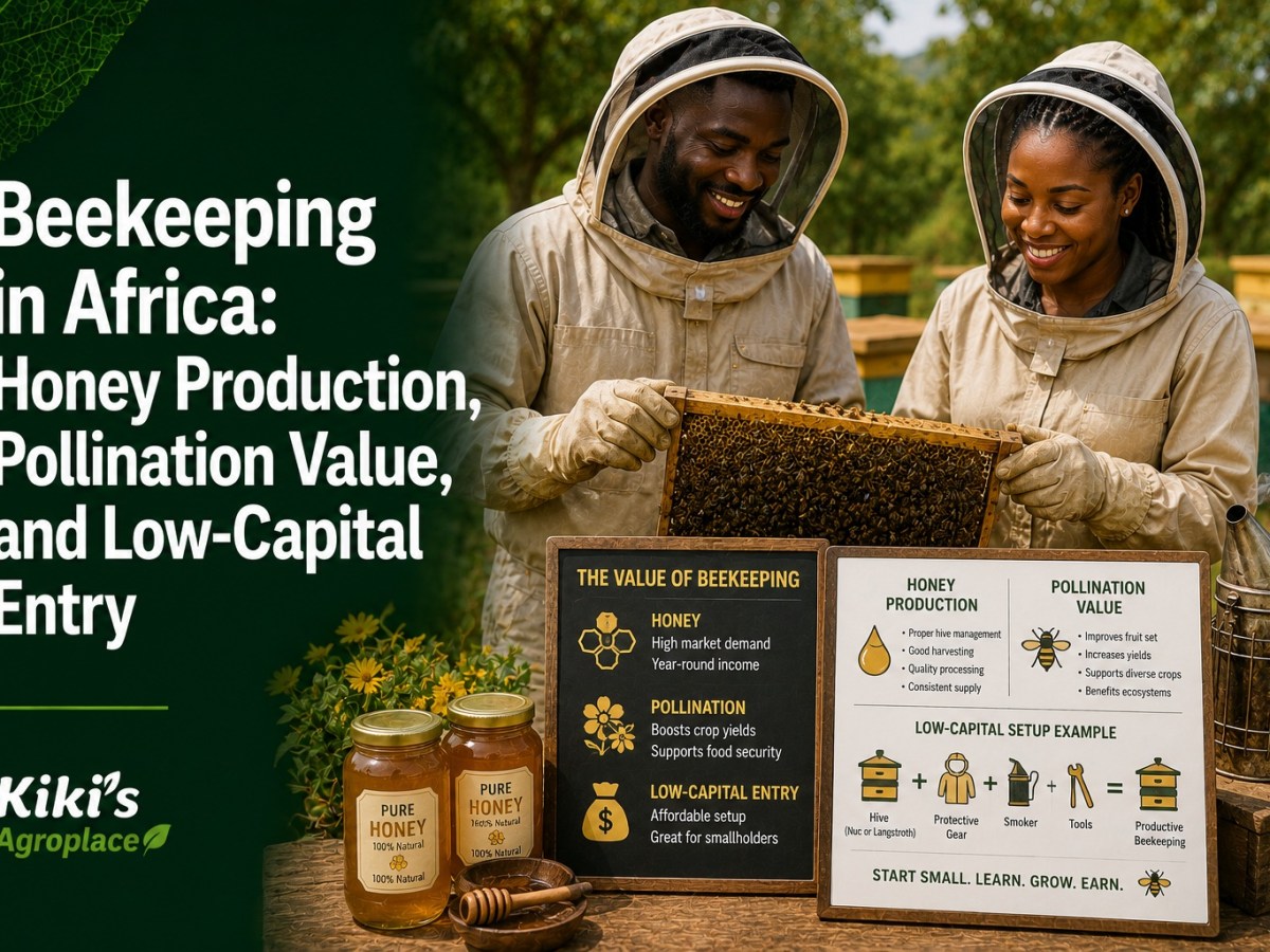 Beekeeping in Africa: Honey Production, Pollination Value, and Low-Capital&nbsp;Entry