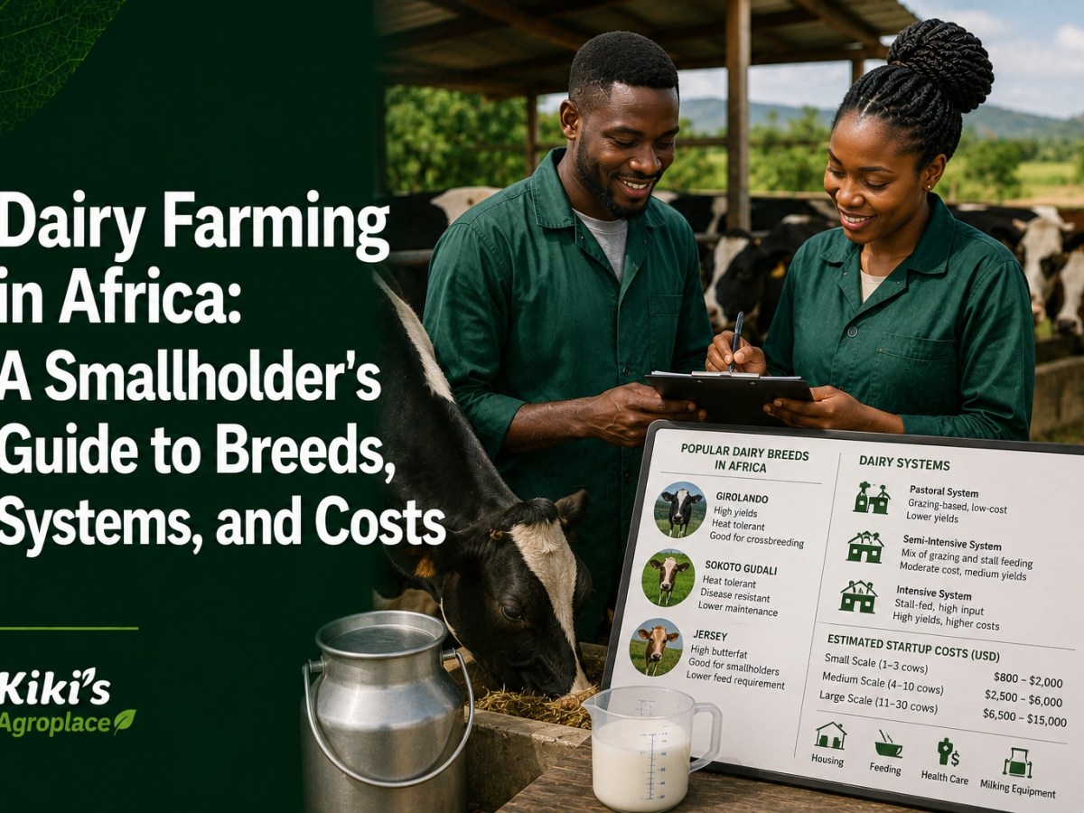 Dairy Farming in Africa: A Smallholder’s Guide to Breeds, Systems, and&nbsp;Costs