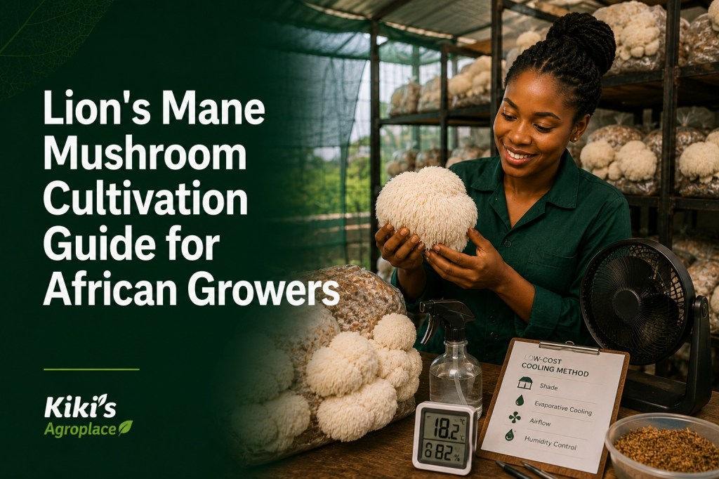 Lion’s Mane Mushroom Cultivation Guide for African&nbsp;Growers
