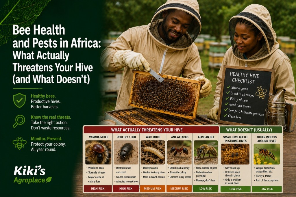 Beehive frame inspection for pests and diseases including wax moth, small hive beetle, and Varroa mite