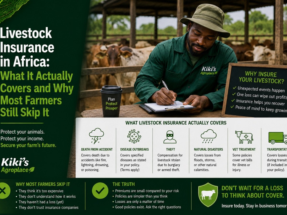Livestock Insurance in Africa: What It Actually Covers and Why Most Farmers Still Skip&nbsp;It