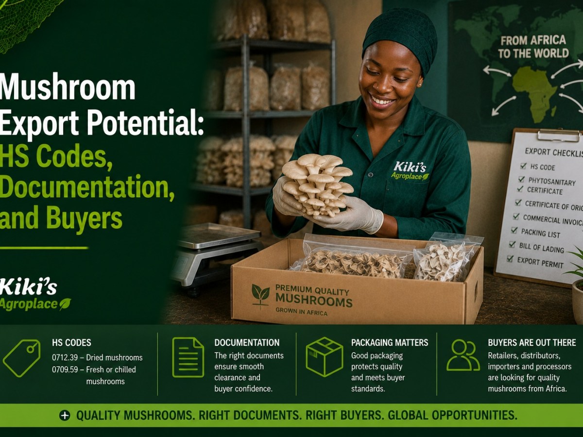 Mushroom Export Potential: HS Codes, Documentation, and&nbsp;Buyers